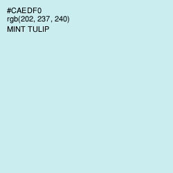 #CAEDF0 - Mint Tulip Color Image
